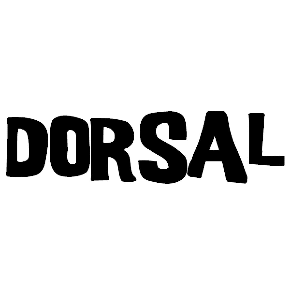 DORSAL Kayak Rack Set 2Pcs J-Bar Rack for Canoe SUP Board Boat On Roof